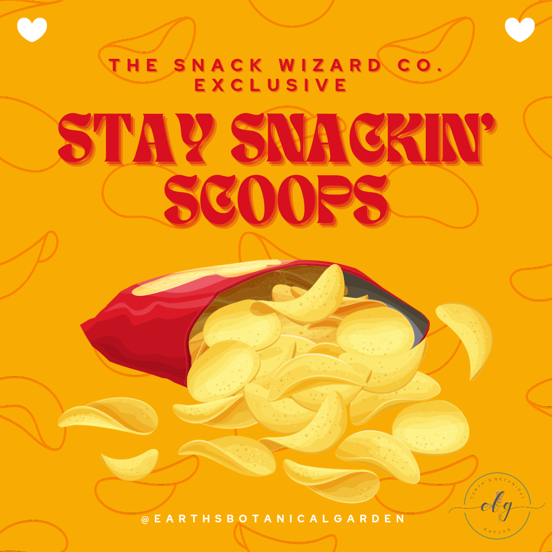 Stay Snackin' Scoops (Chips & Cookies only)