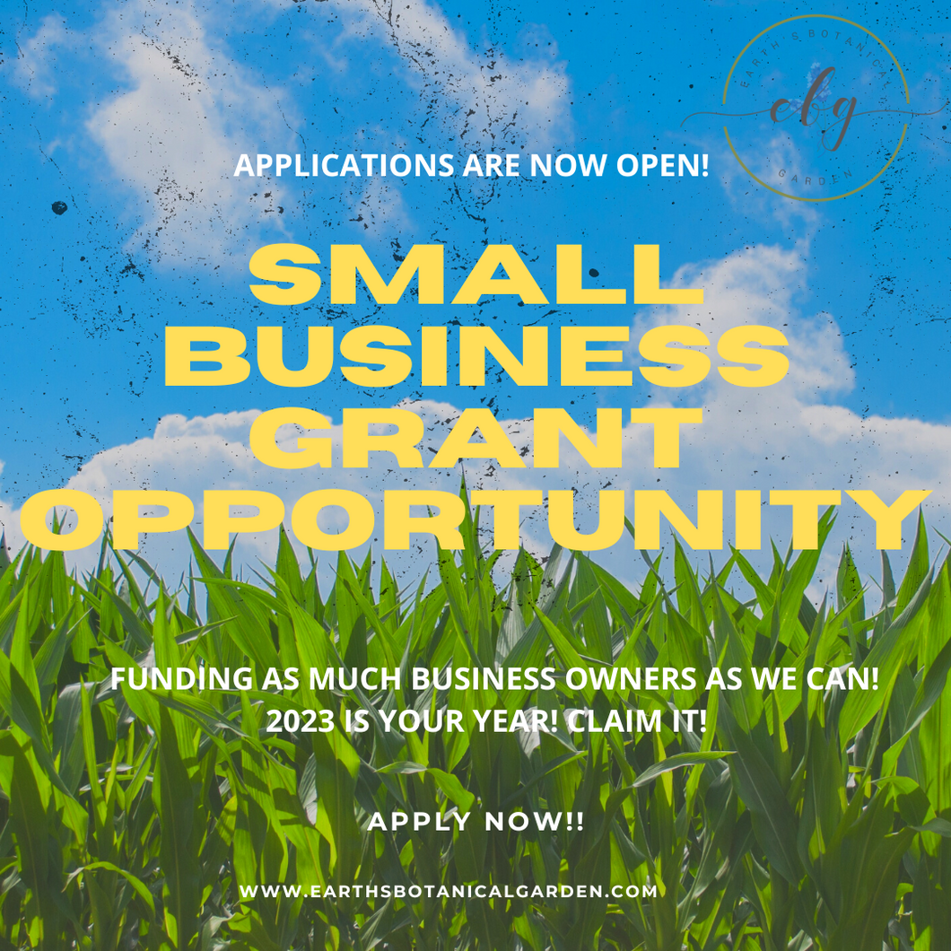 EBG Small Business Grant Opportunity Entry